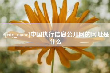 宣威中国执行信息公开网的网址是什么
