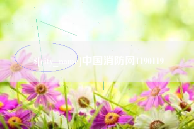 宣威中国消防网1190119