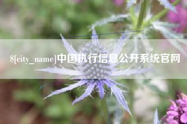 宣威中国执行信息公开系统官网