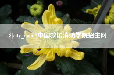 宣威中国救援消防学院招生网