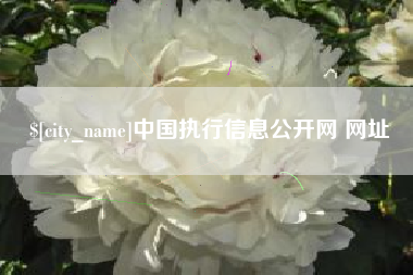 宣威中国执行信息公开网 网址
