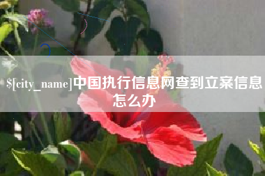 宣威中国执行信息网查到立案信息怎么办