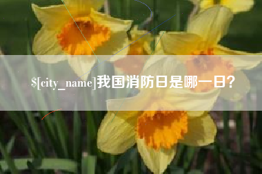 宣威我国消防日是哪一日？