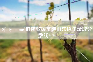 宣威消防救援学院山东招生录取分数线2020