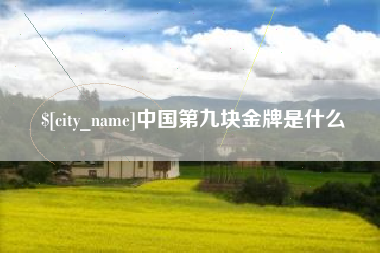 宣威中国第九块金牌是什么