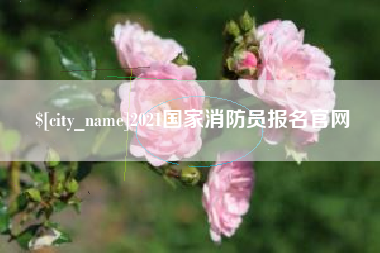 宣威2021国家消防员报名官网