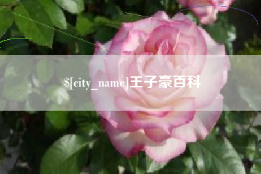 宣威王子豪百科