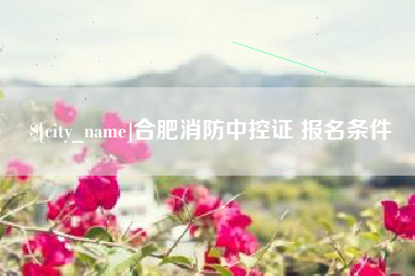 宣威合肥消防中控证 报名条件