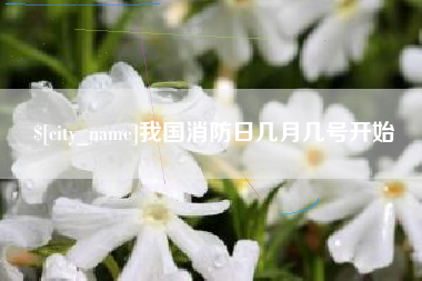 宣威我国消防日几月几号开始