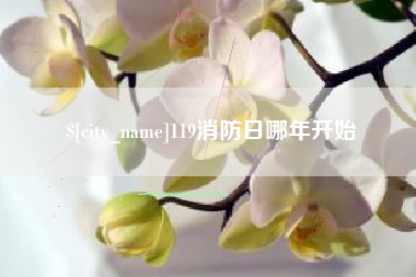 宣威119消防日哪年开始
