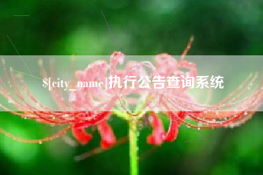 宣威执行公告查询系统