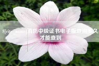 宣威消防中级证书电子版查询多久才能查到