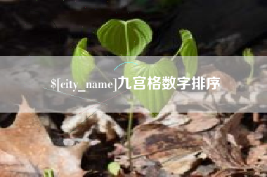 宣威九宫格数字排序