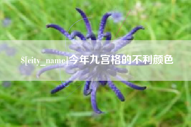 宣威今年九宫格的不利颜色