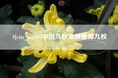 宣威中国九枚金牌是哪九枚
