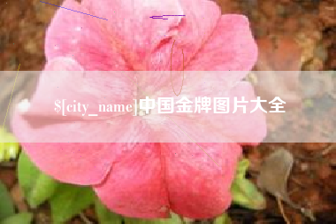 宣威中国金牌图片大全