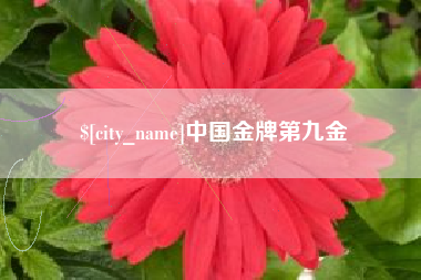 宣威中国金牌第九金
