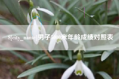宣威男子5000米年龄成绩对照表