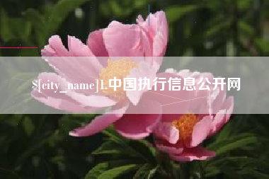 宣威1.中国执行信息公开网