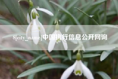 宣威中国执行信息公开网询