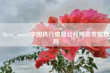 宣威中国执行信息公开网会发信息吗