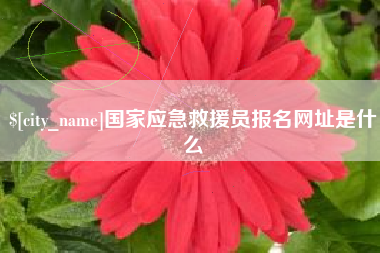 宣威国家应急救援员报名网址是什么