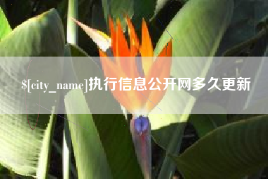 宣威执行信息公开网多久更新