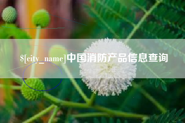 宣威中国消防产品信息查询