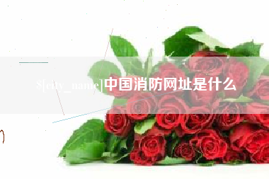 宣威中国消防网址是什么