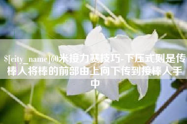 宣威60米接力赛技巧-下压式则是传棒人将棒的前部由上向下传到接棒人手中