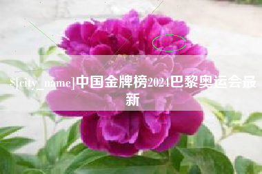 宣威中国金牌榜2024巴黎奥运会最新