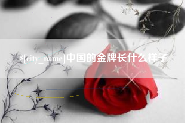宣威中国的金牌长什么样子