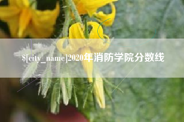 宣威2020年消防学院分数线
