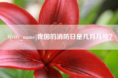 宣威我国的消防日是几月几号？
