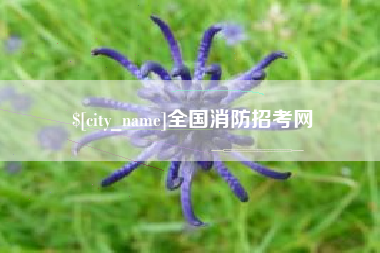 宣威全国消防招考网