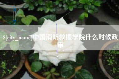 宣威中国消防救援学院什么时候政审