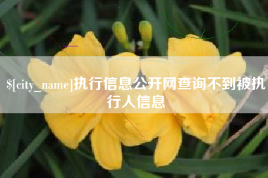 宣威执行信息公开网查询不到被执行人信息