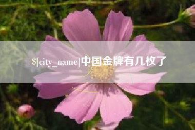 宣威中国金牌有几枚了