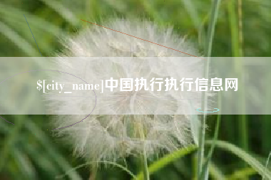 宣威中国执行执行信息网