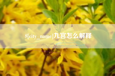 宣威九宫怎么解释