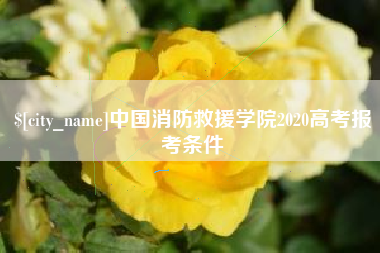 宣威中国消防救援学院2020高考报考条件