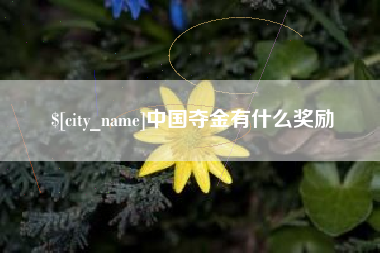 宣威中国夺金有什么奖励