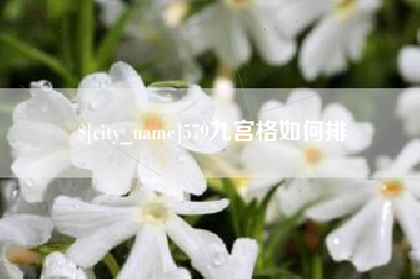 宣威579九宫格如何排