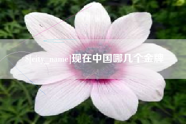 宣威现在中国哪几个金牌