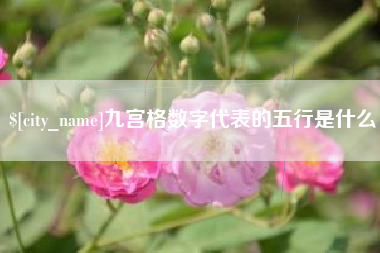 宣威九宫格数字代表的五行是什么