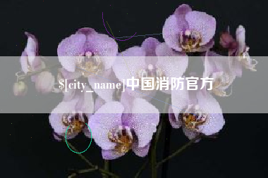 宣威中国消防官方