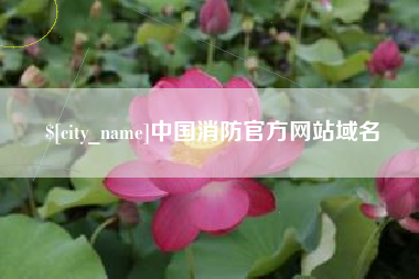 宣威中国消防官方网站域名