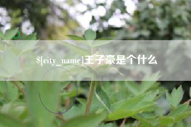 宣威王子豪是个什么