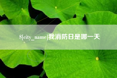 宣威我消防日是哪一天