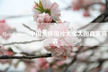 宣威中国金牌图片大全大图真实高清